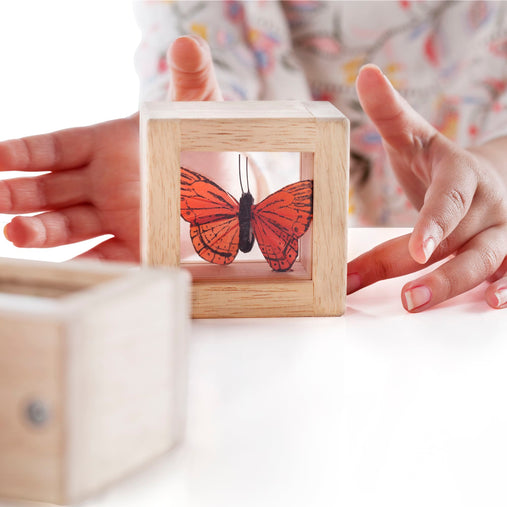 G3084 Treasure Blocks Clear Lifestyle4 | Clear