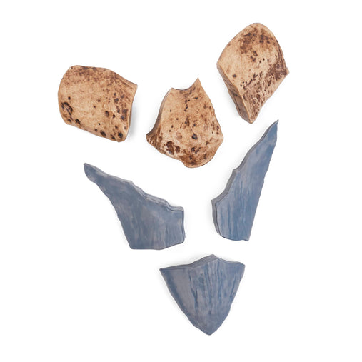 300662 Magnetic Fossil 3D Puzzle Megalodon Tooth Silo 6 | Megalodon Tooth
