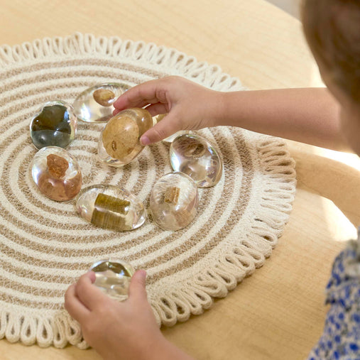 301315 Specimen Stones  Fossils Lifestyle 281 | Fossils