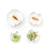 301328 Specimen Life Cycle Puzzles Moth Silo 2 | Moth