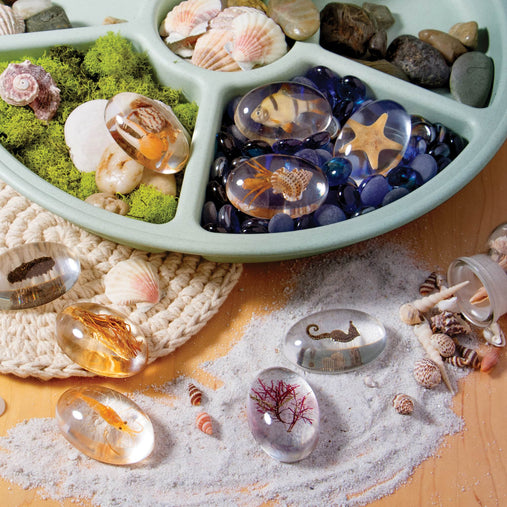 G4501  KP Specimen Stones Sea Creatures Env 2 | Sea Creatures