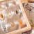 G4503  Specimen Stand  Sea Creatures set Env 3 | Sea Creatures