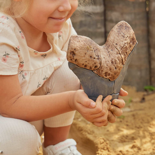 300662 Magnetic Fossil 3D Puzzle Megalodon Tooth Lifestyle 7 | Megalodon Tooth