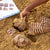 300799 Magnetic Fossil 3D Puzzle Trilobite Lifestyle 1 | Trilobite