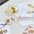 301329 Specimen Life Cycle Puzzles Honey Bee Lifestyle 11 | Honey Bee
