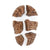 300799 Magnetic Fossil 3D Puzzle Trilobite Silo 4 | Trilobite